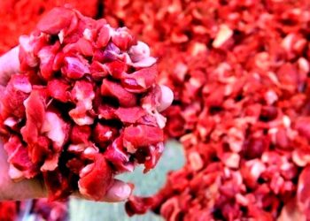 BM raporu: Türkiye’de kırmızı et tüketilmiyor…