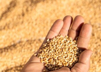 3 ürünün ithalatında can yakan gümrük vergisi!