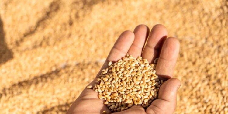 3 ürünün ithalatında can yakan gümrük vergisi!