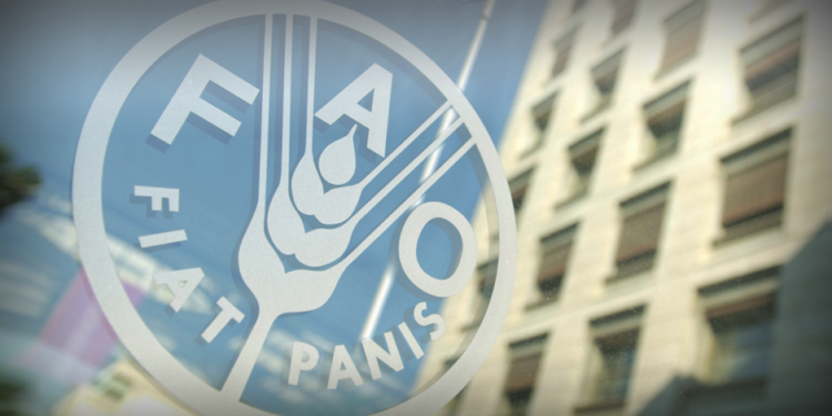 FAO açıkladı: Gıda üretiminde deprem kaybı yüzde 20