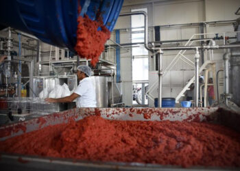 Lice Kooperatifi’nin hikayesi: Türkiye’de kooperatifçilik ve tarım politikalarının geleceği