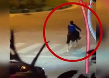 Bartın’da ‘at kazası’ kamerada