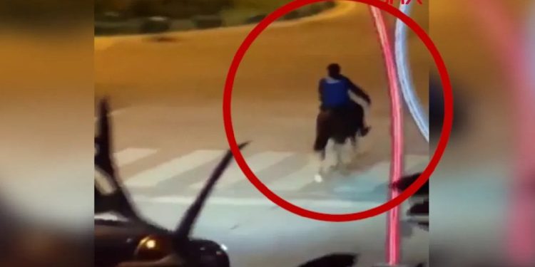 Bartın’da ‘at kazası’ kamerada
