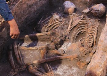 Eskişehir’de 5 bin yıllık iskelet bulundu