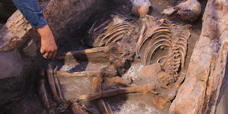Eskişehir’de 5 bin yıllık iskelet bulundu