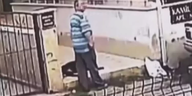 Hatay’da iğrenç olay: Sokak hayvanına cinsel istismar