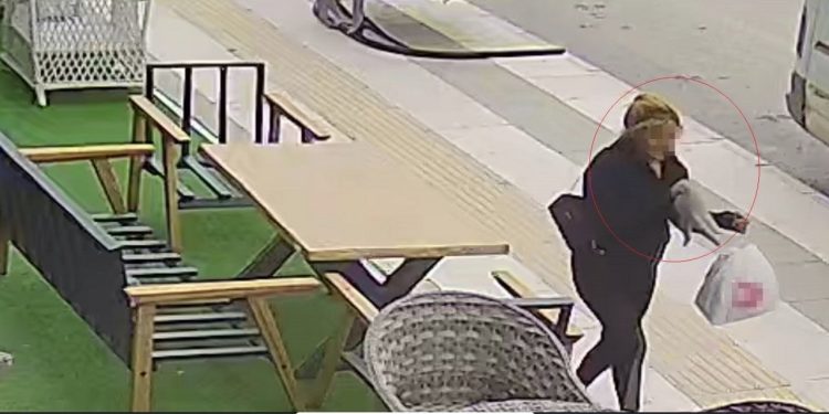 İş Yerinin Önünden Kedi Çaldı