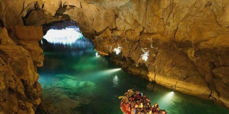 Jenerasyonu Tehlikedeki Akdeniz Fokları İçin “Mağaralara Girmeyin” Uyarısı