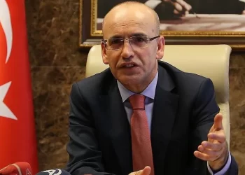 Mehmet Şimşek Kimdir? Kaç Yaşında? Nereli?