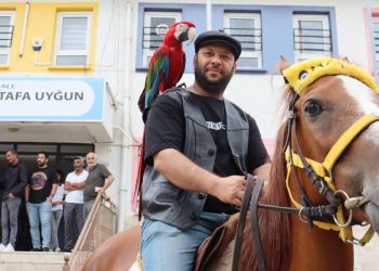 Oy kullanmaya papağanı ve atıyla gitti