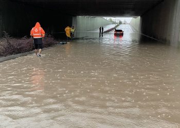 Sağanak yağış bir çok kentte hayatı felç etti: Dereler taştı, hayvanlar telef oldu