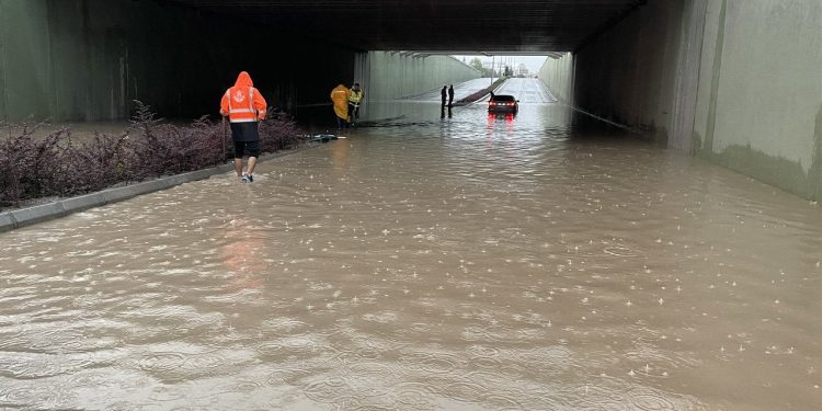 Sağanak yağış bir çok kentte hayatı felç etti: Dereler taştı, hayvanlar telef oldu