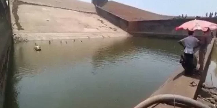 Suya düşen telefonunu bulmak için barajı boşalttırdı