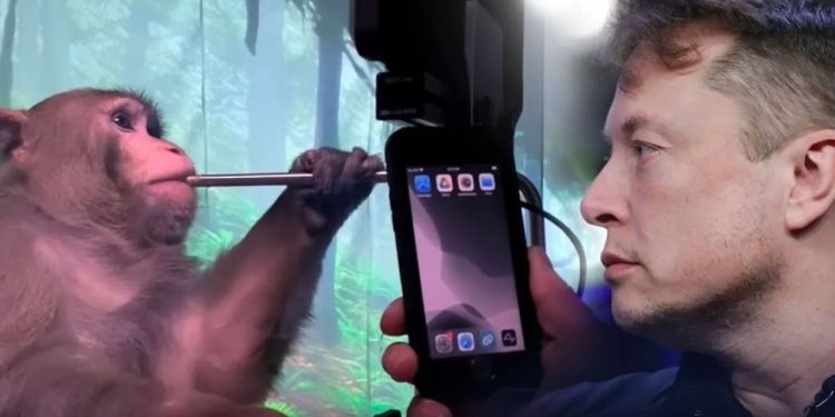 Testler Tamamlandı, Karar Verildi: Elon Musk’ın Beyin Çipine Onay Çıktı