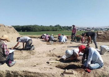 Van kayyumundan bir icraat daha: Arkeolojik kazıyı durdurdu