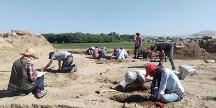 Van kayyumundan bir icraat daha: Arkeolojik kazıyı durdurdu