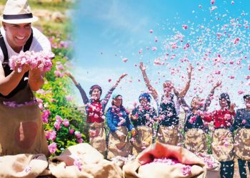 120 milyon TL yatırım yapmıştı… Dönemin birinci mahsullerini topladı