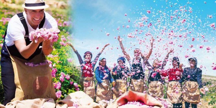 120 milyon TL yatırım yapmıştı… Dönemin birinci mahsullerini topladı