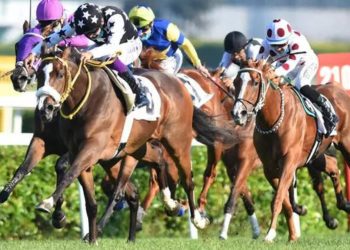 97. Gazi Koşusu’nu Urfa Aslanı ile Mehmet Kaya kazandı!