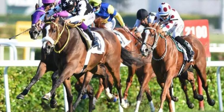 97. Gazi Koşusu’nu Urfa Aslanı ile Mehmet Kaya kazandı!