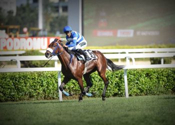 97. Gazi Koşusu’nu Urfa Aslanı kazandı