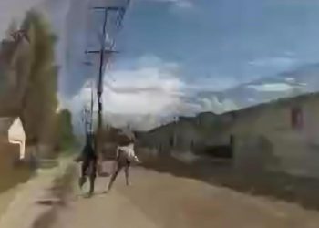 ABD polisi havalı tabancayla soygun yapan çocuğu vurarak öldürdü