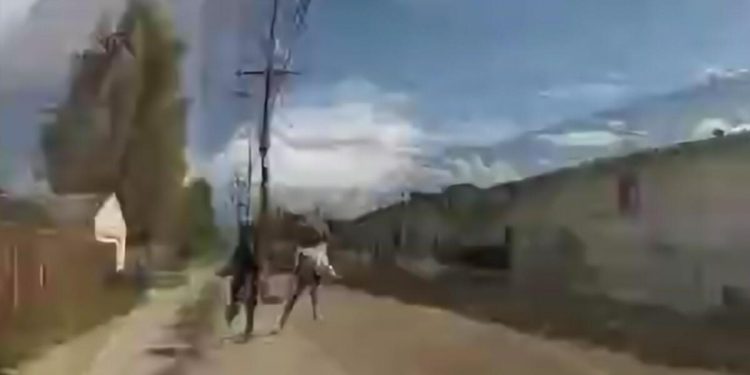 ABD polisi havalı tabancayla soygun yapan çocuğu vurarak öldürdü