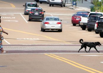 ABD’nin güneyinde sıcak hava dalgası: 14 meyyit
