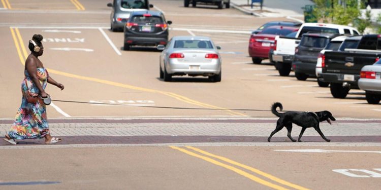 ABD’nin güneyinde sıcak hava dalgası: 14 meyyit