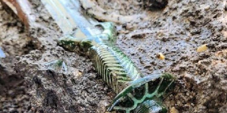 Almanya’da 3 bin yıllık bronz kılıç bulundu