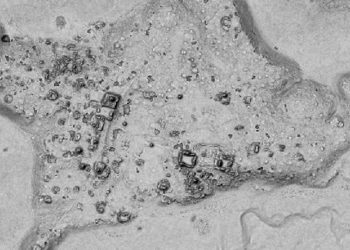 Arkeologlar ormanda antik Maya kenti kalıntıları buldu