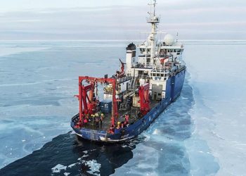 Arktik rotasına işgal freni