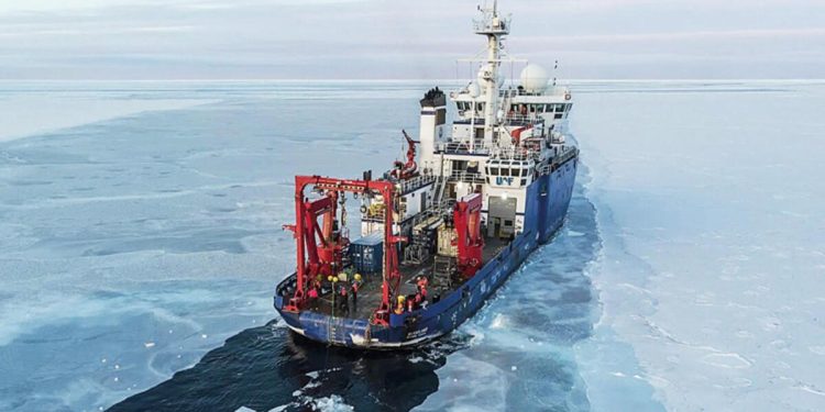 Arktik rotasına işgal freni