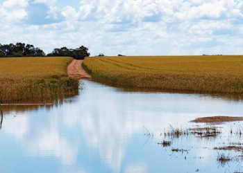 Çiftçinin takvimi değişti