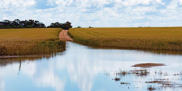 Çiftçinin takvimi değişti