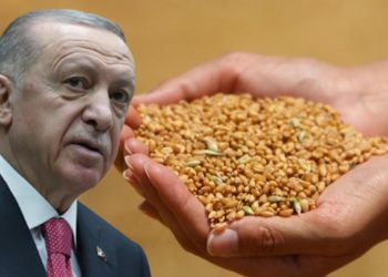 Cumhurbaşkanı Erdoğan buğday ve arpa alım fiyatlarını açıkladı