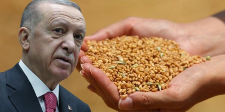 Cumhurbaşkanı Erdoğan buğday ve arpa alım fiyatlarını açıkladı