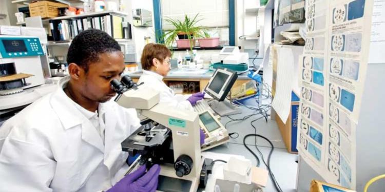 Deneyleri ilerletmek yasak: Yapay insan embriyosu üretildi