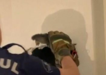 Duvarı delip kediyi bu türlü kurtardılar