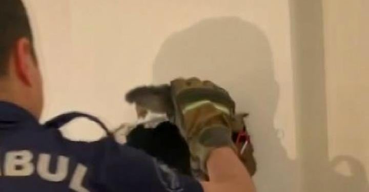 Duvarı delip kediyi bu türlü kurtardılar