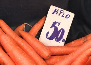 Fiyatı olağandışı arttı, havucun kilosu 50 TL oldu