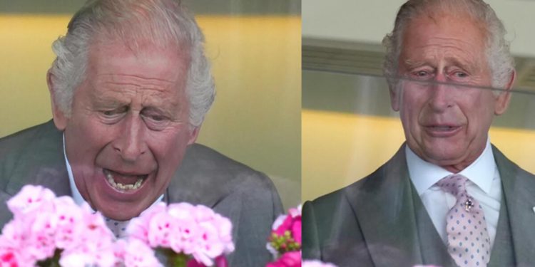 Gün gelir Kral’ın gözünden iki damla yaş süzülür!