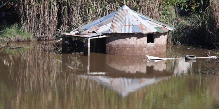 Güney Afrika’da şiddetli fırtına ve sel: 7 meyyit