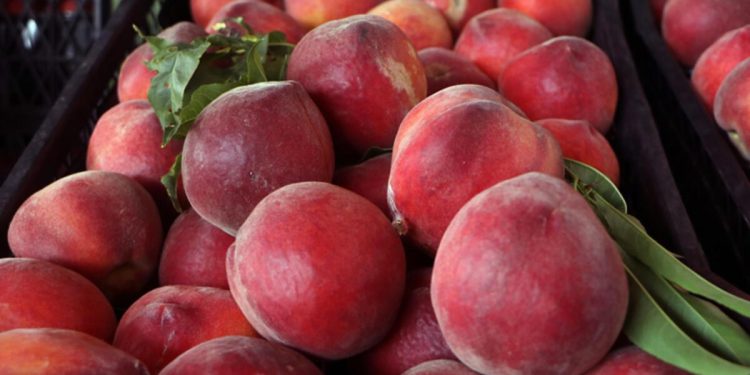 Halden markete şeftalide yüzde 285 kâr