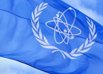 IAEA Genel Yöneticisi Grossi Ukrayna’yı ziyaret edecek
