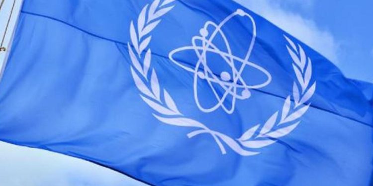 IAEA Genel Yöneticisi Grossi Ukrayna’yı ziyaret edecek