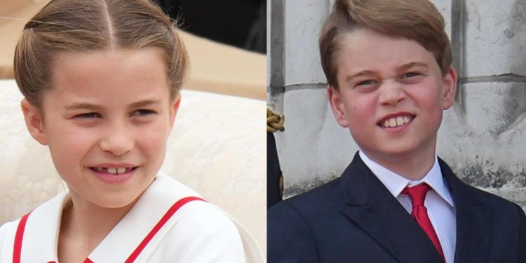 İki kardeş yuvadan uçmaya hazırlanıyor: O değişiklik olursa Charlotte tarihe geçecek