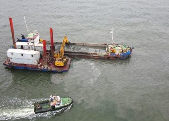 İzmir Körfezi’nde ‘müsilaj’ argümanı: Açıklama geldi!