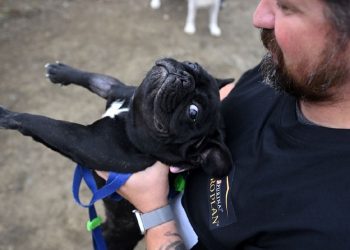 İzmir’de Köpeğini Alan Spora Koştu