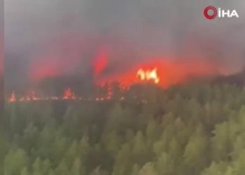 Kazakistan’da orman yangını: 3 kişi öldü, 30 bin hektar alan kül oldu